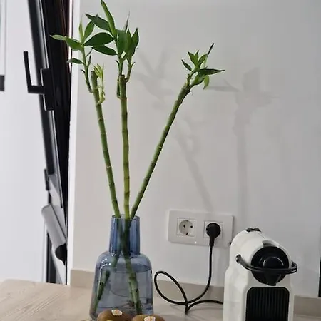 Enjoy Carnanal With Extreme Confort 4p